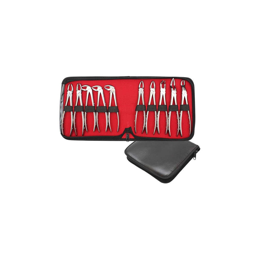 Dental Forceps 10 Pieces Set