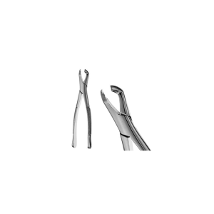 Dental Extraction Forceps