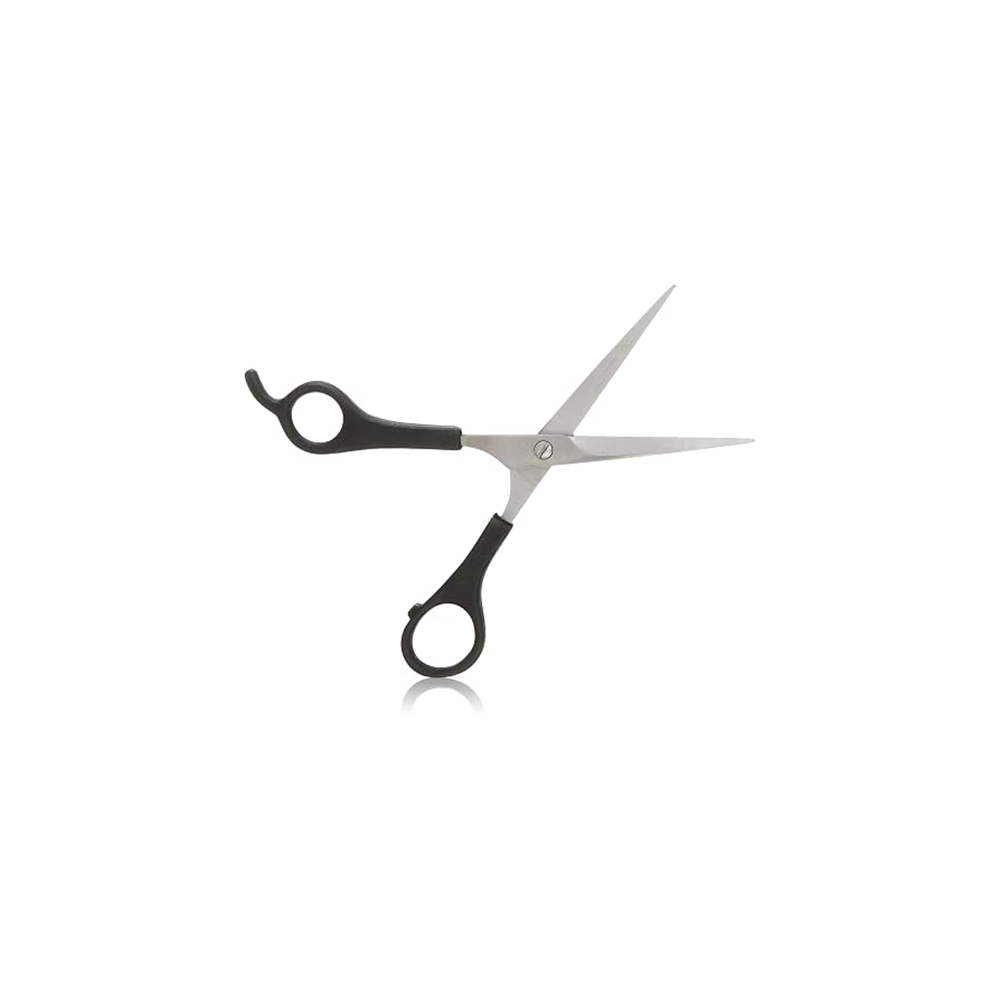 Plastic Scissor